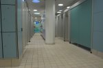 DSC_0013.jpg - 